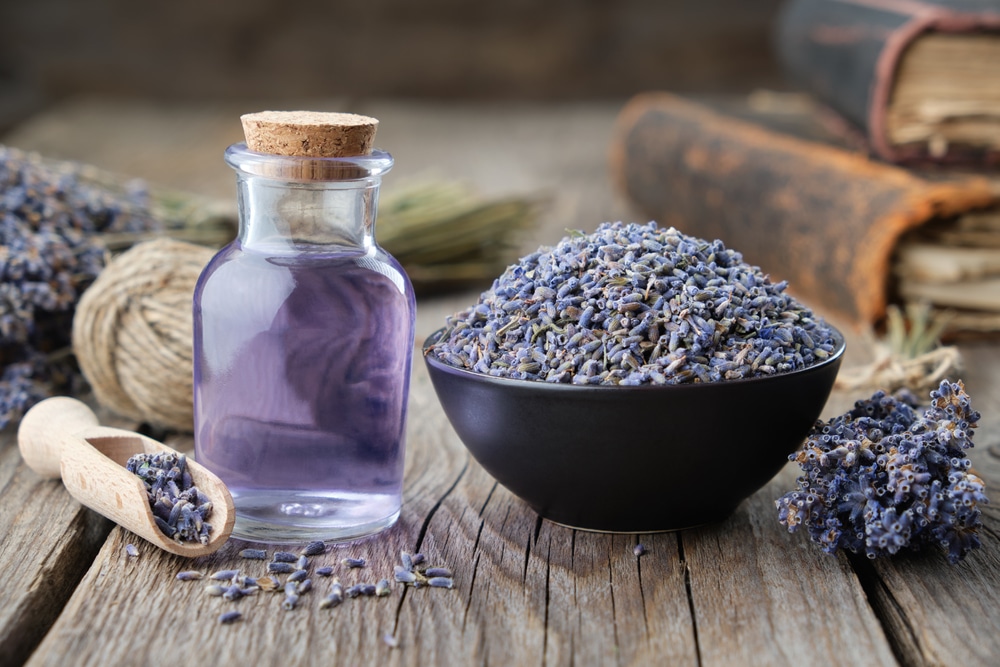 Dry,Lavender,Flowers,In,Bowl,And,Bottle,Of,Essential,Lavender