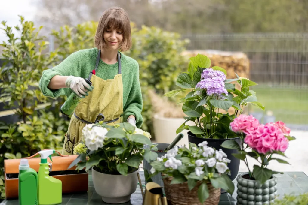 Keep Flowers Fresh in a Vase?