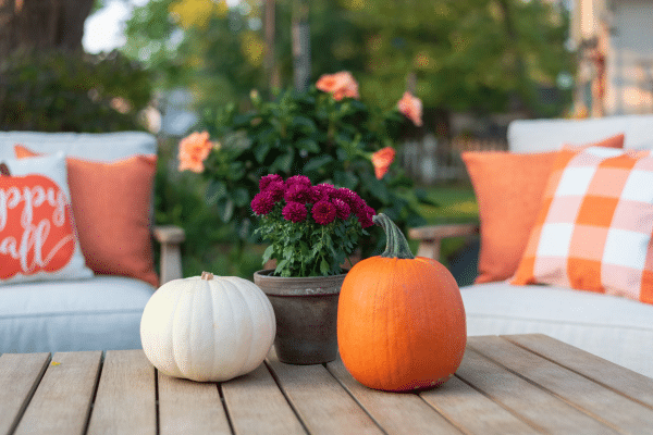 Halloween pumpkin